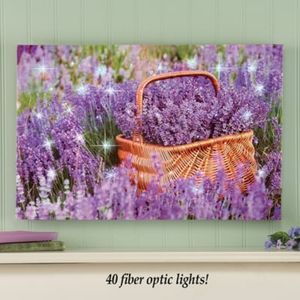 Lighted Lavender Canvas